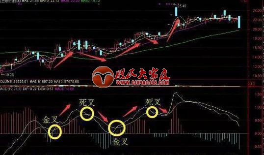 股市高手多年总结出来的一套MACD战法, 百试百灵!