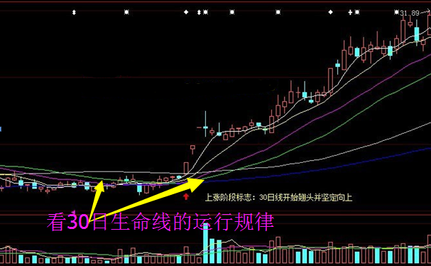 黑马牛股四大规律 七招抓牛股起爆时！