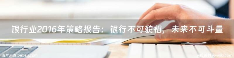 银行业2016年策略报告：银行不可貌相，未来不可斗量