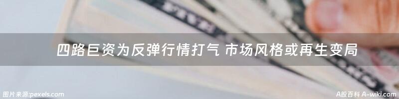 　四路巨资为反弹行情打气 市场风格或再生变局