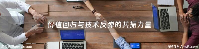 价值回归与技术反弹的共振力量