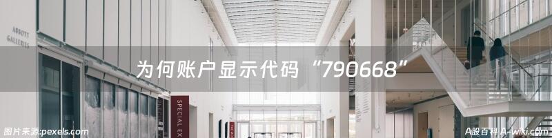 为何账户显示代码“790668”