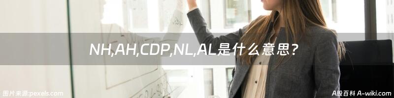 NH,AH,CDP,NL,AL是什么意思？