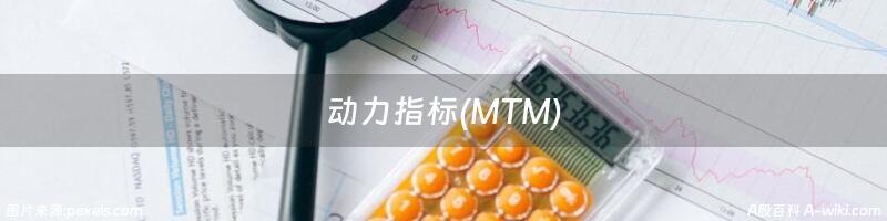 动力指标(MTM)