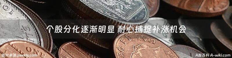 个股分化逐渐明显 耐心捕捉补涨机会