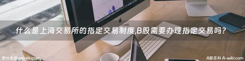 什么是上海交易所的指定交易制度,B股需要办理指定交易吗？