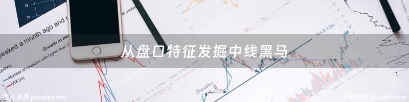 从盘口特征发掘中线黑马