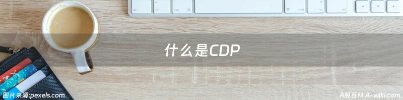 什么是CDP