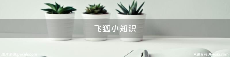 飞狐小知识