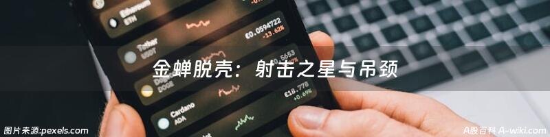 金蝉脱壳：射击之星与吊颈