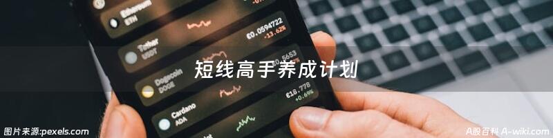 短线高手养成计划