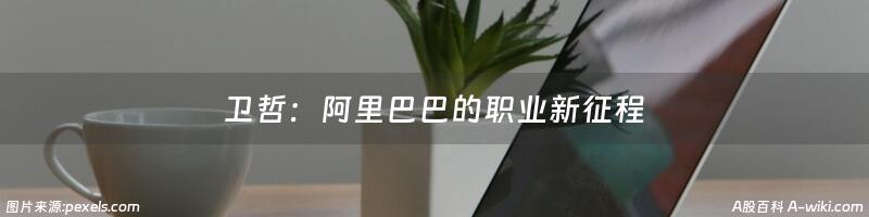 卫哲：阿里巴巴的职业新征程