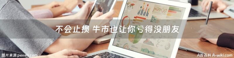 不会止损 牛市也让你亏得没朋友