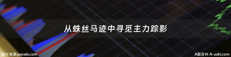 从蛛丝马迹中寻觅主力踪影