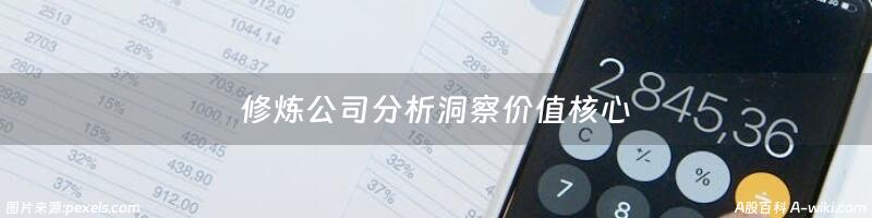 修炼公司分析洞察价值核心