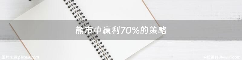 熊市中赢利70%的策略