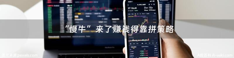 “慢牛”来了赚钱得靠拼策略