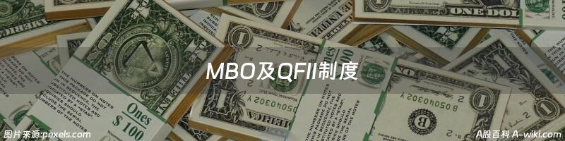 MBO及QFII制度