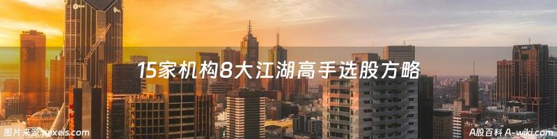 15家机构8大江湖高手选股方略