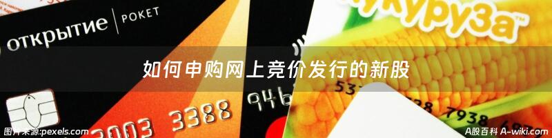 如何申购网上竞价发行的新股