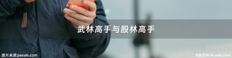 武林高手与股林高手