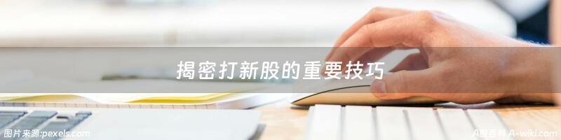 揭密打新股的重要技巧