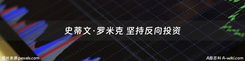 史蒂文·罗米克 坚持反向投资