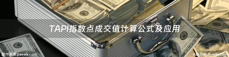 TAPI指数点成交值计算公式及应用