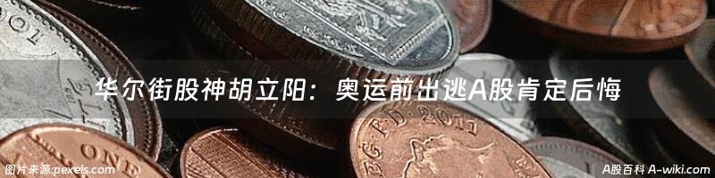 华尔街股神胡立阳：奥运前出逃A股肯定后悔