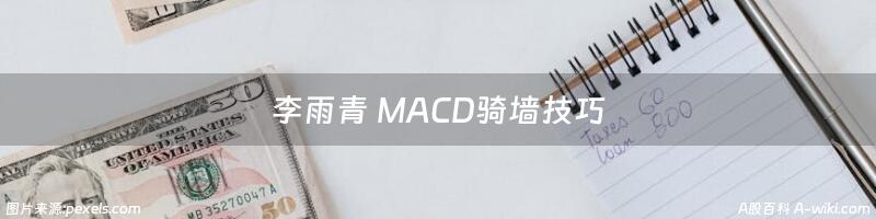 李雨青 MACD骑墙技巧