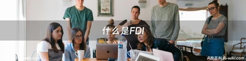 什么是FDI