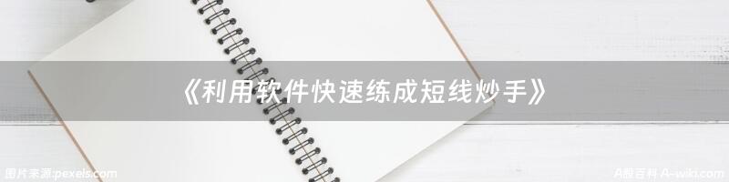 《利用软件快速练成短线炒手》